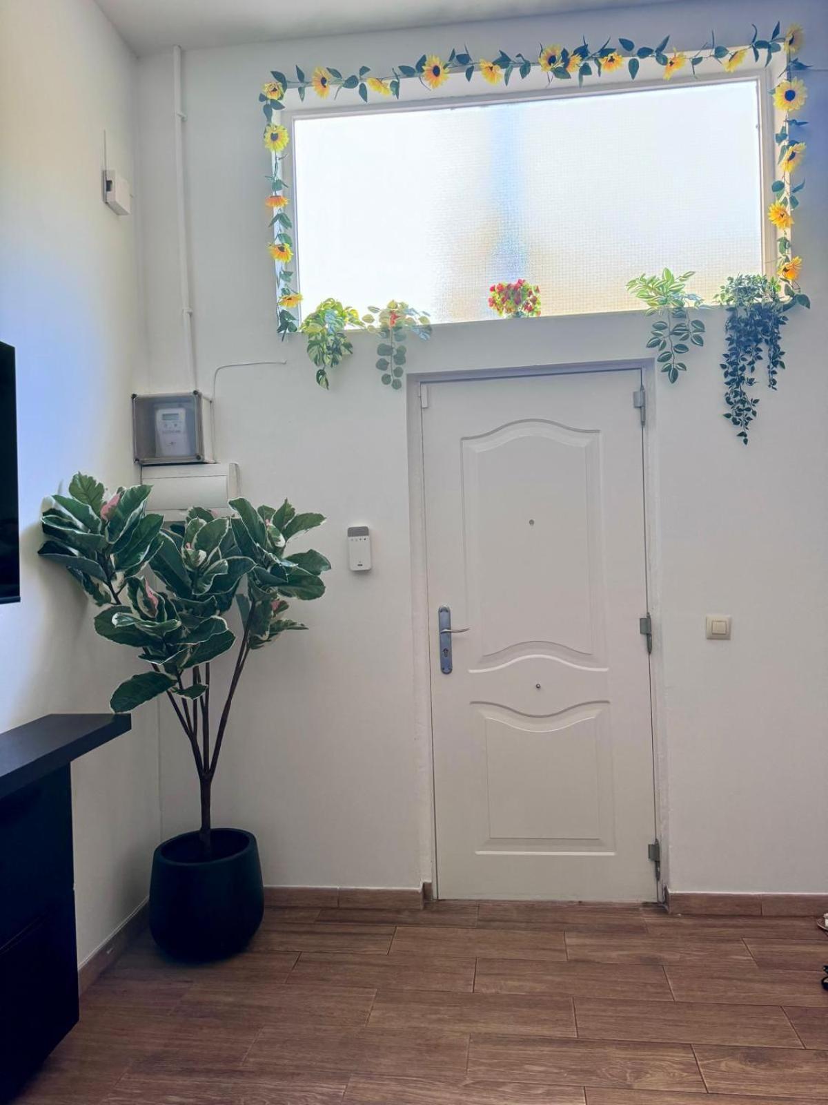Pamis Apartament Sants, Барселона Екстериор снимка